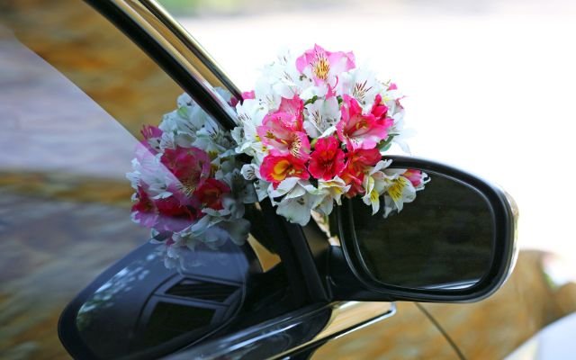 Untitled design (30)